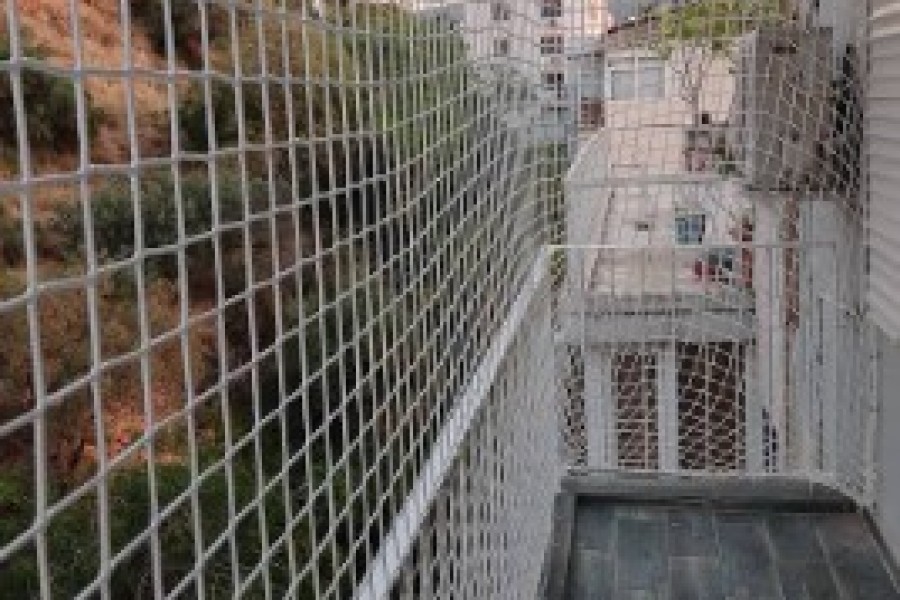 Bornova Kedi koruma Filesi