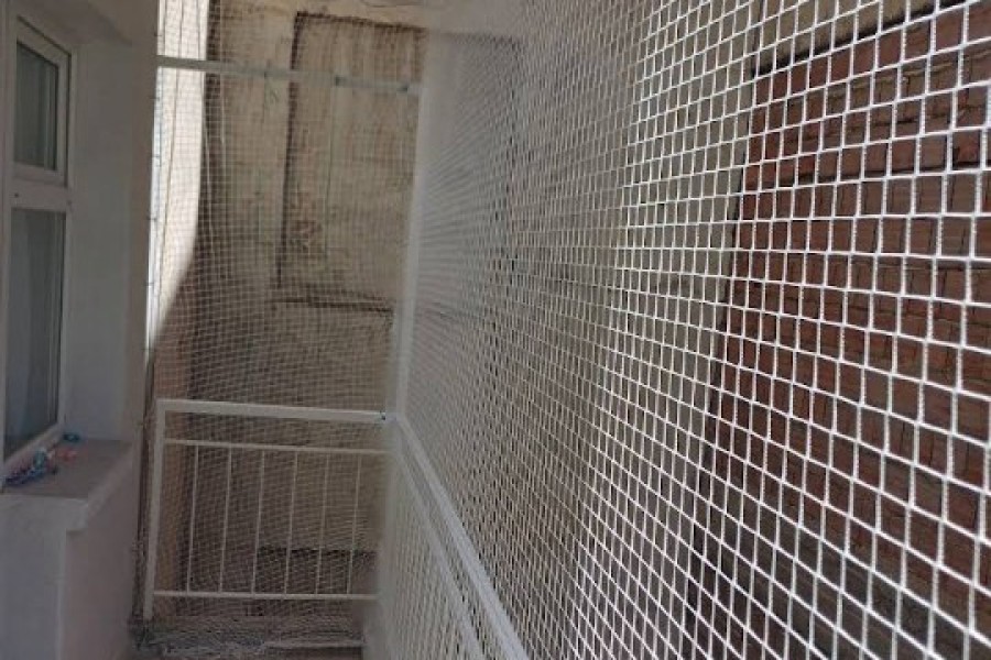 İzmir Kedi koruma Filesi 