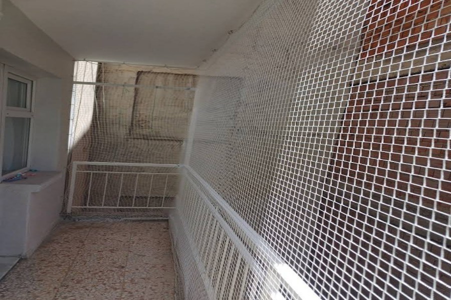 Çiğli kedi koruma filesi