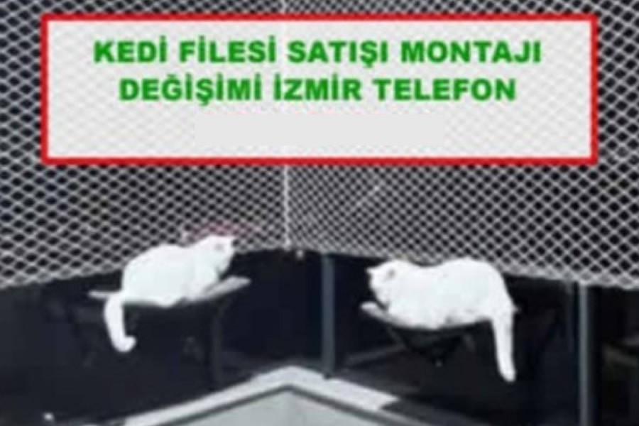  İzmir kedi koruma filesi 