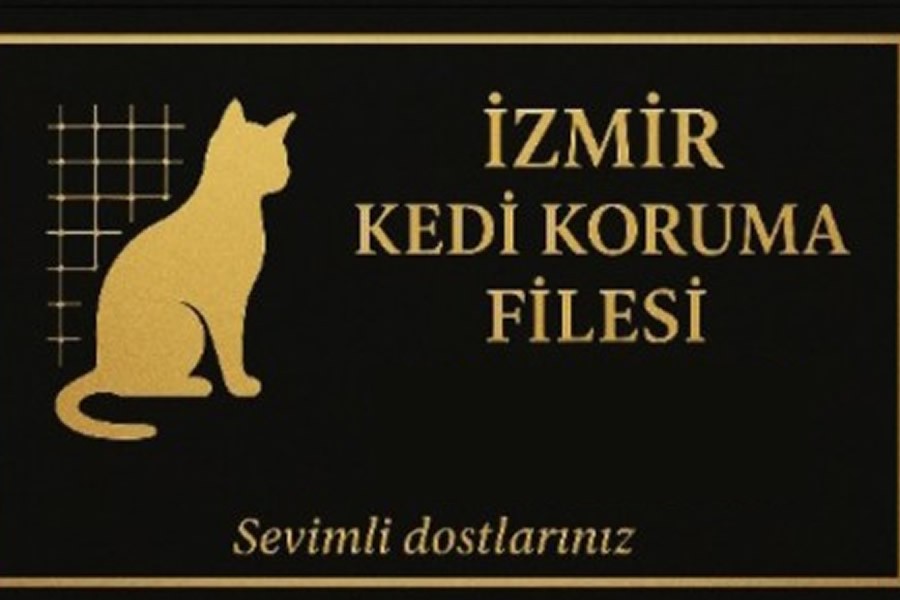 Gaziemir kedi koruma filesi 